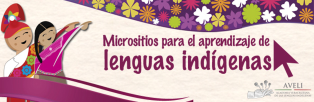 Social networks are used to promote indigenous languages Social networks are used to promote indigenous languages