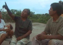 Expression of the 11 in the morning. Image: S. Floyd. Expression of the 11 in the morning. Image: S. Floyd.