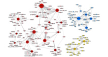Semantic networks of English
