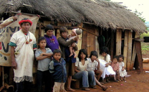 Two books about the Guaranies describe the experiences of these indigenous people
