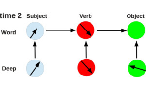 Scientists suggest the biological bases of how language is formed in the brain